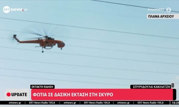 Φωτιά σε δασική έκταση στη Σκύρο