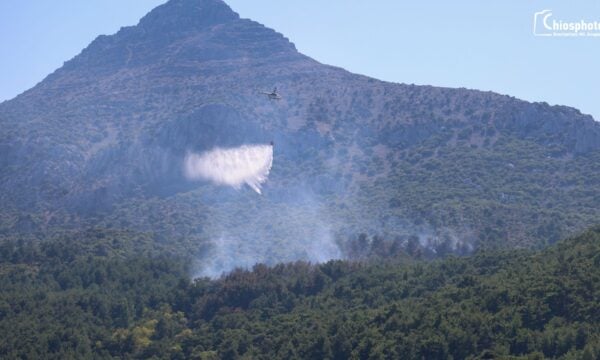 Φωτιά στη Χίο – Μήνυμα 112 για ετοιμότητα στο χωριό Βίκι