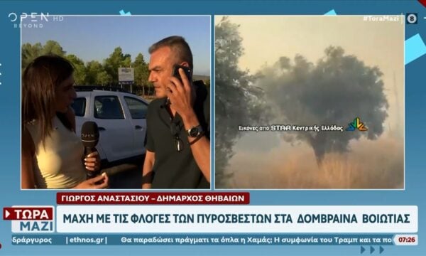 Φωτιά στη Δομβραίνα: Ο δήμαρχος Θηβαίων περιγράφει την κατάσταση