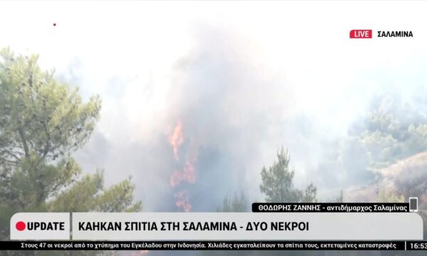 Φωτιά στη Σαλαμίνα: Ο Αντιδήμαρχος Σαλαμίνας, Θοδωρής Ζάννης, στο «ΕΡΤnews»