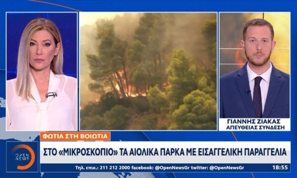 Φωτιά στη Βοιωτία: Στο «μικροσκόπιο» τα αιολικά πάρκα με εισαγγελική παραγγελία