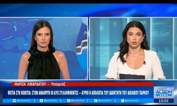 Φωτιά στη Βοιωτία: Στον ανακριτή οι δύο συλληφθέντες – Αύριο η απολογία του ιδιοκτήτη του αιολικού πάρκου