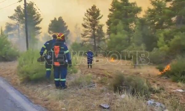 Φωτιά στην Αττικοβοιωτία – Φλόγες στο Κρύο Πηγάδι