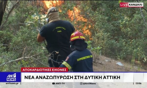 Φωτιά στην Αττικοβοιωτία: Πάνω από 110.000 στρέμματα έγιναν στάχτη