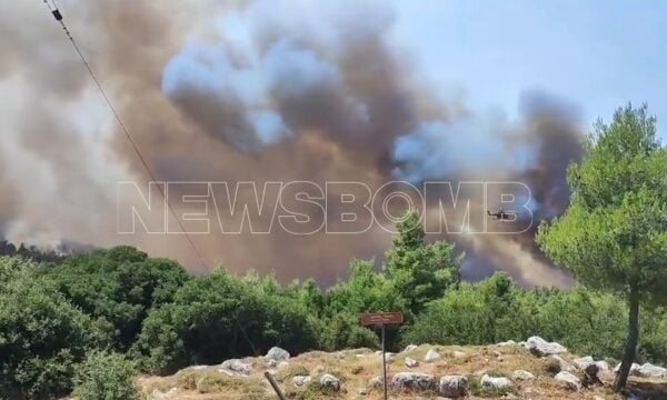 Φωτιά στην Βοιωτία: Ισχυρό το πύρινο μέτωπο στο Κρύο Πηγάδι
