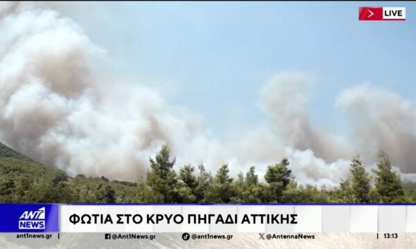 Φωτιά στο Κρύο Πηγάδι Αττικής