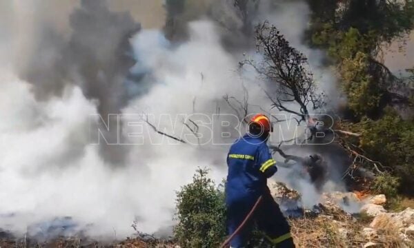 Φωτιά στο Κρύο Πηγάδι – Ισχυρή κινητοποίηση της Πυροσβεστικής
