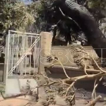 Φωτιά στο Πόρτο Γερμενό: Ζημιές σε σπίτια από το πύρινο μέτωπο – Η επόμενη μέρα