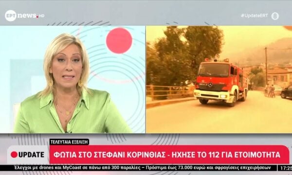 Φωτιά στο Στεφάνι Κορινθίας – Αναστάσιος Γκιόλης, αντιπεριφερειάρχης Κορινθίας