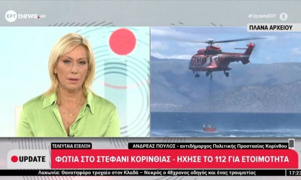 Φωτιά στο Στεφάνι Κορινθίας – Ανδρέας Πούλος, αντιδήμαρχος Πολιτικής Προστασίας Κορίνθου