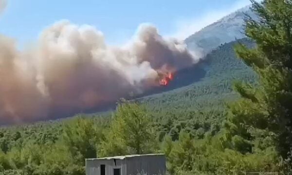 Φωτιά Βοιωτία: Ανεξέλεγκτο μαίνεται το πύρινο μέτωπο