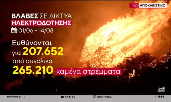 Φωτιές: Το 80% της καμένης γης οφείλεται σε προβλήματα των ηλεκτρικών δικτύων