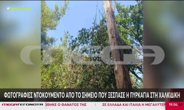 Φωτογραφίες ντοκουμέντο από το σημείο που ξέσπασε η πυρκαγιά στη Χαλκιδική