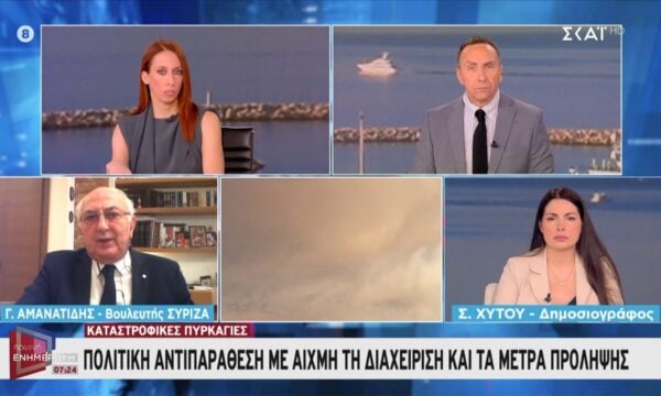 Γ. Αμανατίδης: «Αστοχία και αποτυχία στο κομμάτι της πρόληψης των πυρκαγιών»