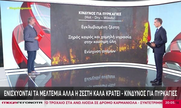 Γ. Καλλιάνος: Ενισχύονται τα μελτέμια αλλά η ζέστη καλά κρατεί – Κίνδυνος για πυρκαγιές