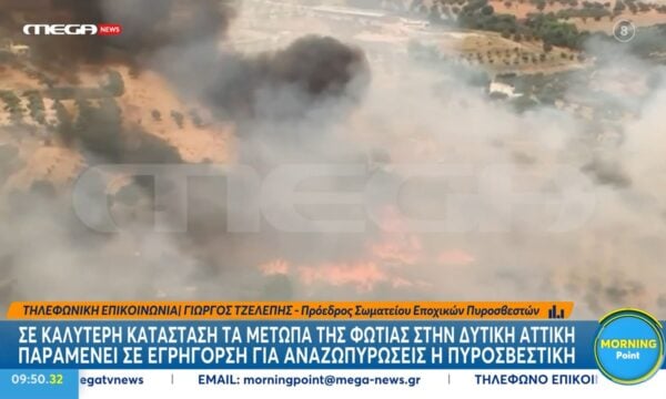 Γ. Τζελέπης: «Όλα τα μέτωπα είνια σε ύφεση – Στοίχημα η μάχη με τις αναζωπυρώσεις»