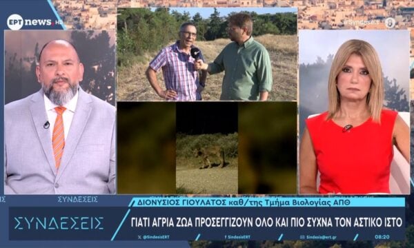 Γιατί τα άγρια ζώα προσεγγίζουν όλο και πιο συχνά τον αστικό ιστό