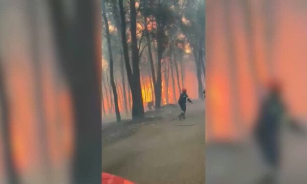 Greece: Einsatz gegen Waldbrände in Westgriechenland geht weiter, landesweit mehr als 70 Feuer