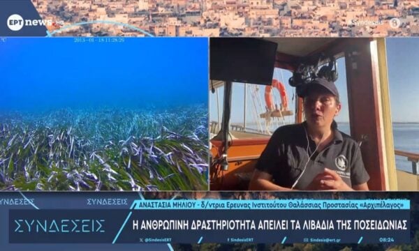 Η ανθρώπινη δραστηριότητα απειλεί τα Λιβάδια της Ποσειδωνίας