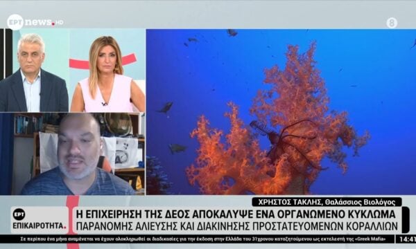 Η επιχείρηση της ΔΕΟΣ αποκάλυψε ένα οργανωμένο κύκλωμα παράνομης αλίευσης και διακίνησης προστατευόμενων κοραλλιών