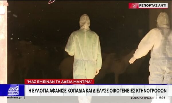 Η ευλογιά αφάνισε κοπάδια και διέλυσε οικογένειες κτηνοτρόφων: Μας έμειναν τα άδεια μαντριά