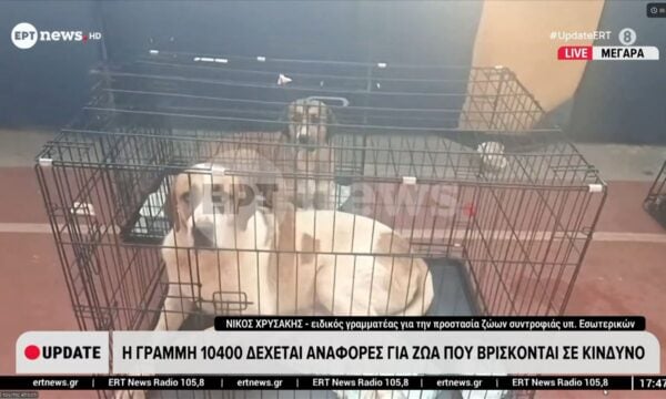 Η γραμμή 10400 δέχεται αναφορές για ζώα που βρίσκονται σε κίνδυνο