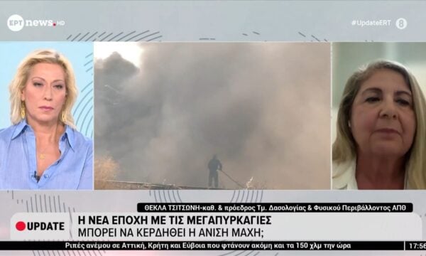 Η Πρόεδρος του Τμήματος Δασολογίας & Φυσικού Περιβάλλοντος του ΑΠΘ, Θέκλα Τσιτσώνη, στο ΕΡΤnews
