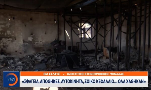 Η πύρινη λαίλαπα σάρωσε τα πάντα  στο Πόρτο Γερμενό