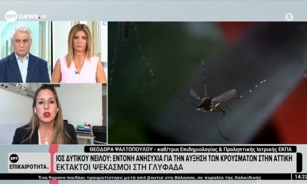 Η Θεοδώρα Ψαλτοπούλου στο ΕΡΤnews για τον ιό του Δυτικού Νείλου