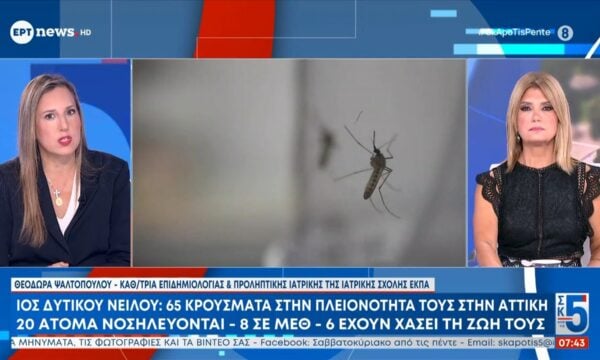 Η Θεοδώρα Ψαλτοπούλου στο «Σαββατοκύριακο από τις 5»