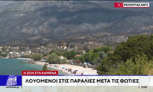 Η ζωή στα καμένα – Λουόμενοι στις παραλίες μετά τις φωτιές