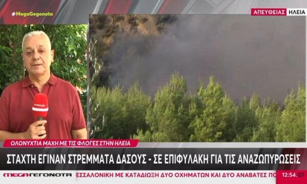 Ηλεία: Φωτιά σε πευκοδάσος στο Μουζάκι – Σε επιφυλακή για αναζωπυρώσεις