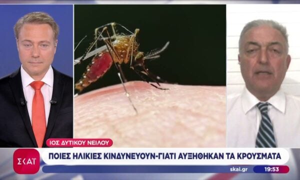 Ιός Δ. Νείλου «Καμπανάκι» από τα πολλά νέα κρούσματα – Ποιοι κινδυνεύουν – Τι λέει ο Θ. Βασιλακόπουλος