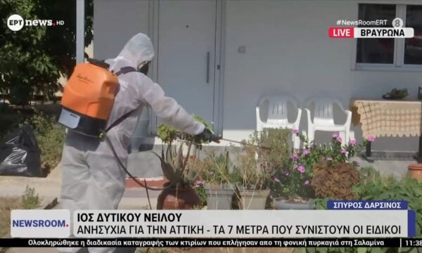 Ιός Δυτικού Νείλου: Ανησυχία για την Αττική – Τα 7 μέτρα που συνιστούν οι ειδικοί