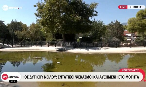 Ιός Δυτικού Νείλου | Εντατικοί ψεκασμοί και αυξημένη ετοιμότητα