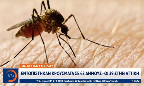 Ιός δυτικού Νείλου: Εντοπίστηκαν κρούσματα σε 63 δήμους – Οι 39 στην Αττική