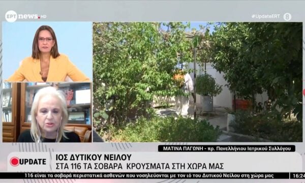 Ιός Δυτικού Νείλου: Η πρόεδρος του Πανελλήνιου Ιατρικού Συλλόγου, Ματίνα Παγώνη, στο ΕΡΤnews