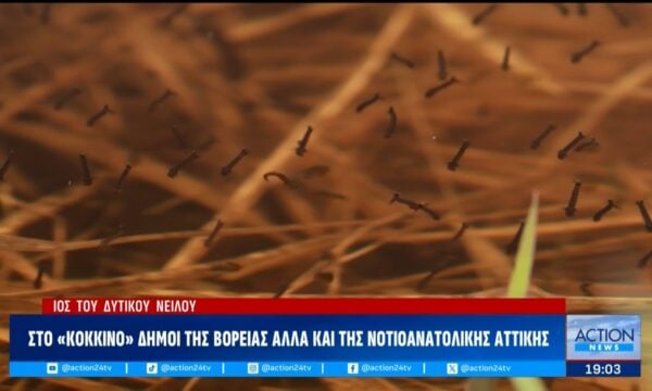 Ιός Δυτικού Νείλου: Κόκκινος συναγερμός στην Αττική – 75χρονος στο Ηράκλειο Κρήτης το πρώτο κρούσμα του νησιού
