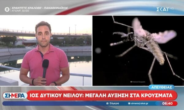 Ιός Δυτικού Νείλου: Μεγάλη αύξηση στα κρούσματα