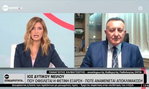 Ιός Δυτικού Νείλου: Πού οφείλεται η φετινή έξαρση – Πότε αναμένεται αποκλιμάκωση