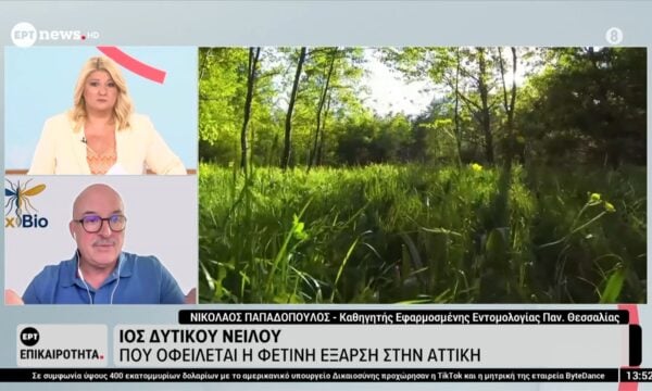 Ιός Δυτικού Νείλου | Πού οφείλεται η φετινή έξαρση στην Αττική
