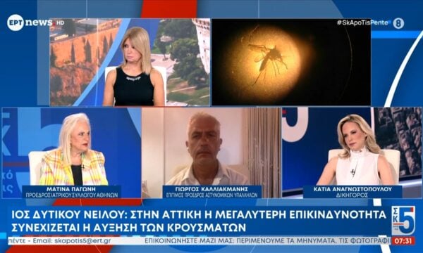Ιός Δυτικού Νείλου: Στην Αττική η μεγαλύτερη επικινδυνότητα, συνεχίζεται η αύξηση των κρουσμάτων – Η Ματίνα Παγώνη (Πρόεδρος Ιατρικού Συλλόγου Αθηνών) στο ΕΡΤnews