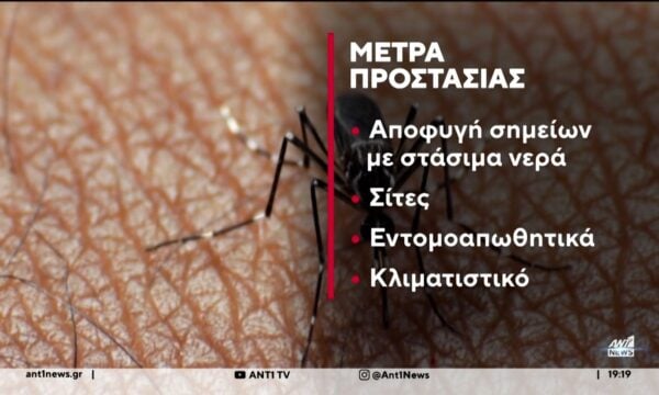 Ιός Δυτικού Νέιλου: “Συναγερμός” μετά τους 4 θανάτους και τα νέα κρούσματα
