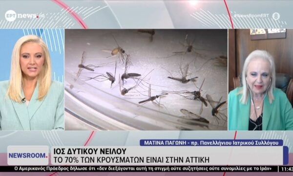Ιός Δυτικού Νείλου, το 70 % των κρουσμάτων είναι στην Αττική – Η Ματίνα Παγώνη (πρ. Πανελλήνιου Ιατρικού Συλλόγου) στο ΕΡΤnews