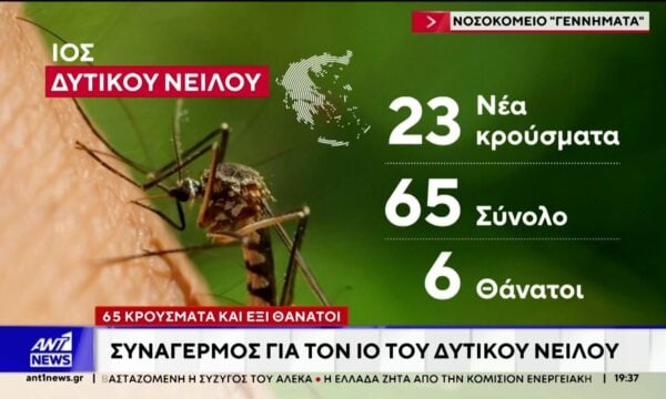 Ιός του Δυτικού Νείλου: Δεκάδες νέα κρούσματα την τελευταία εβδομάδα