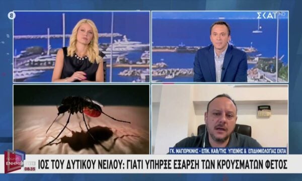 Ιός του Δυτικού Νείλου: Γιατί σημειώθηκε αύξηση των κρουσμάτων εφέτος
