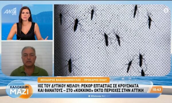 Ιός του Δυτικού Νείλου: Ρεκόρ επταετίας σε κρούσματα και θανάτους – Καλοκαίρι Μαζί – 25/08/2026
