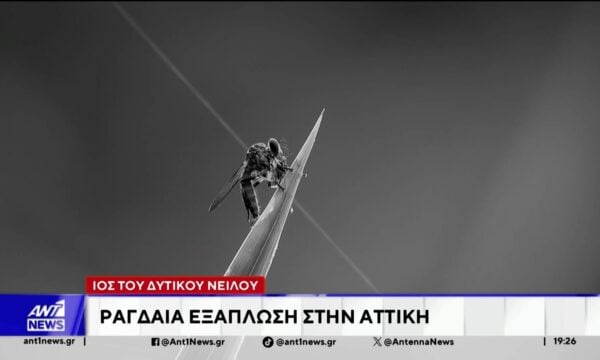 Ιός του Δυτικού Νείλου: Σε εκτακτους ψεκασμούς προχωρά ο Δήμος Κηφισιάς