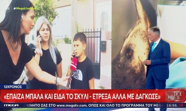 Ηράκλειο – Επίθεση σκύλου σε 12χρονο: «Το σκυλί είναι πιο βαρύ από τη γυναίκα που το κράταγε»
