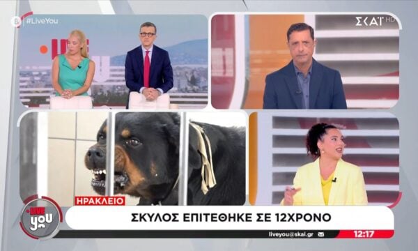 Ηράκλειο: Σκύλος επιτέθηκε σε 12χρονο